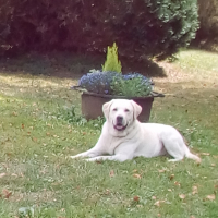 Photo #276404 de junior