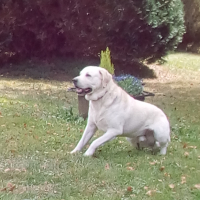 Photo #276405 de junior
