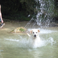 Photo #276406 de junior
