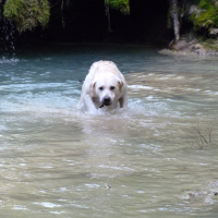 Photo #276407 de junior