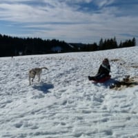 Photo #276408 de junior