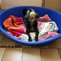 Photo #276504 de loulou