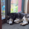 Photo #276507 de Youki