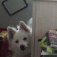 Photo #276548 de titus