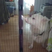 Photo #276549 de titus