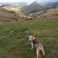 Photo #276578 de Dina