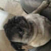 Photo #276611 de Gabana