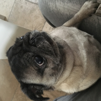 Photo #276611 de Gabana