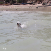 nager à la plage d'ifaty fait beacoup de bien