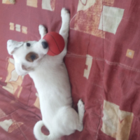 La baballe