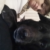 Photo #276740 de Erton
