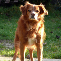 Photo #276745 de Valdy