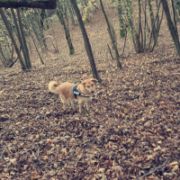 Photo #276774 de Tao
