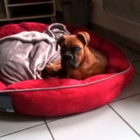 Photo #276819 de Marius 