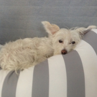 Photo #276841 de Mimi Rose