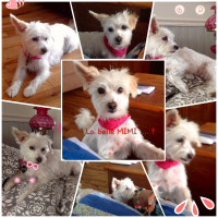 Photo #276843 de Mimi Rose