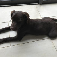 Photo #276887 de Niska