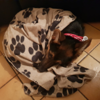 Photo #276944 de Lasko