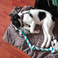 Photo #276986 de NECKO