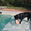 j'aime bien jouer au ballon dans la piscine