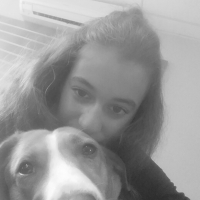 Photo #277073 de cacahuete