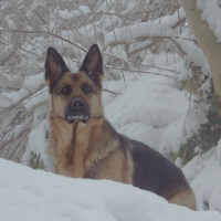 Photo #277127 de HABY
