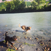 Photo #277159 de Ozvan
