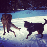 Photo #277161 de Ozvan