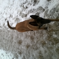 Vive la neige...