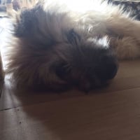 Fatigué 