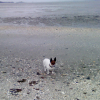 Helfy à la plage