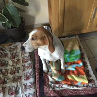 Photo #277502 de Gina