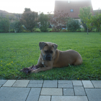 Photo #277585 de Moka