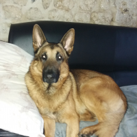 Photo #277589 de TYRON