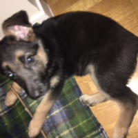 Photo #277694 de NINA