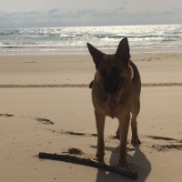 Photo #277776 de NINA
