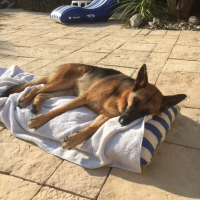 Photo #277794 de NINA