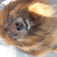 Photo #277886 de TINA