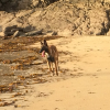 Bord de mer en Bretagne