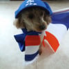 lors de la finale des bleus