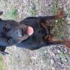 Photo #277966 de Nalah
