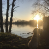 Une petite promenade en bord de Loire