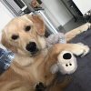 Naos avec son doudou