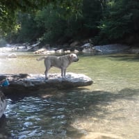 Photo #278041 de junior