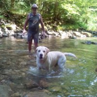 Photo #278042 de junior