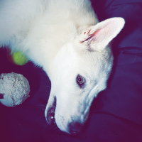 Photo #278140 de LUKY