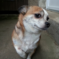 Photo #278178 de Maia
