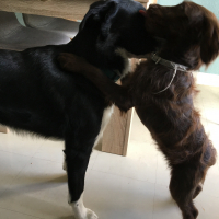 Photo #278201 de Vaiana 