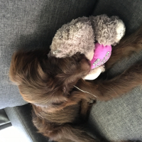 Photo #278202 de Vaiana 