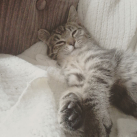 Photo #278441 de Kira